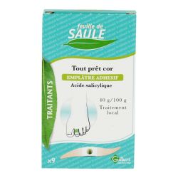 Feuille Saule Toutpret Cors 9