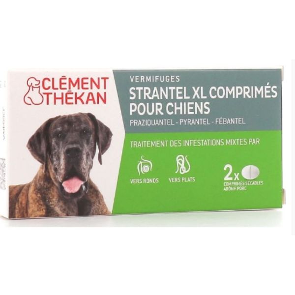 Clement Strantel Chien Xl /2