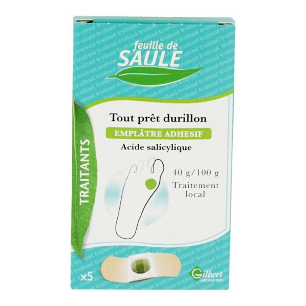 Feuille Saule Toutpret Duril 5