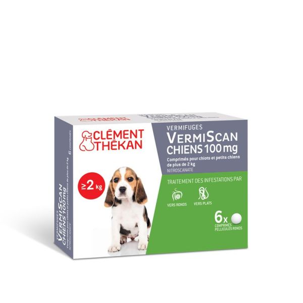 Vermiscan 100Mg Cpr B/6