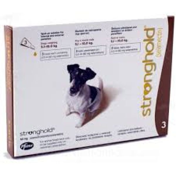 Stronghold 60Mg Sol Chien  3 V